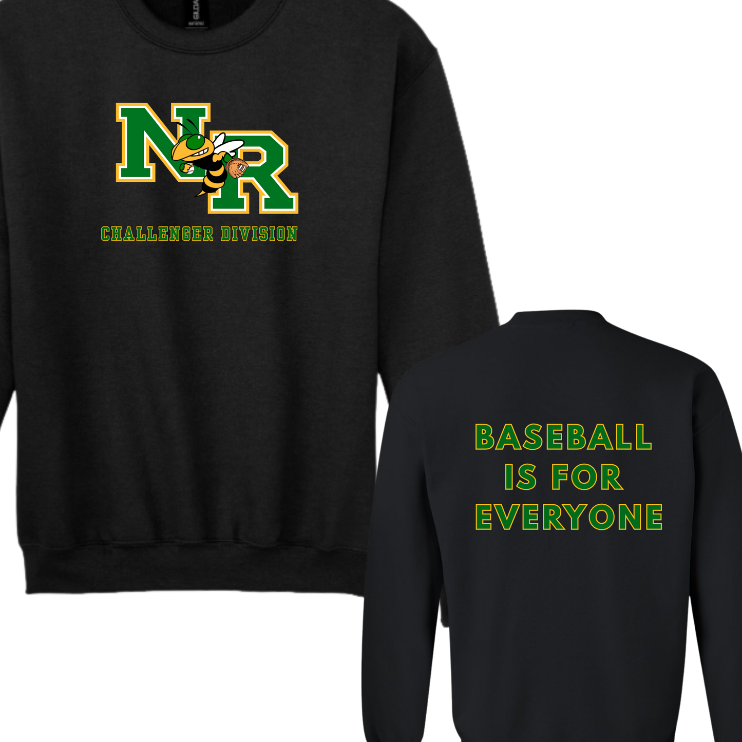 NR Little League Baseball Challenger Division