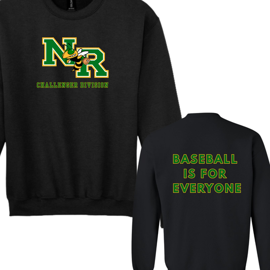 NR Little League Baseball Challenger Division