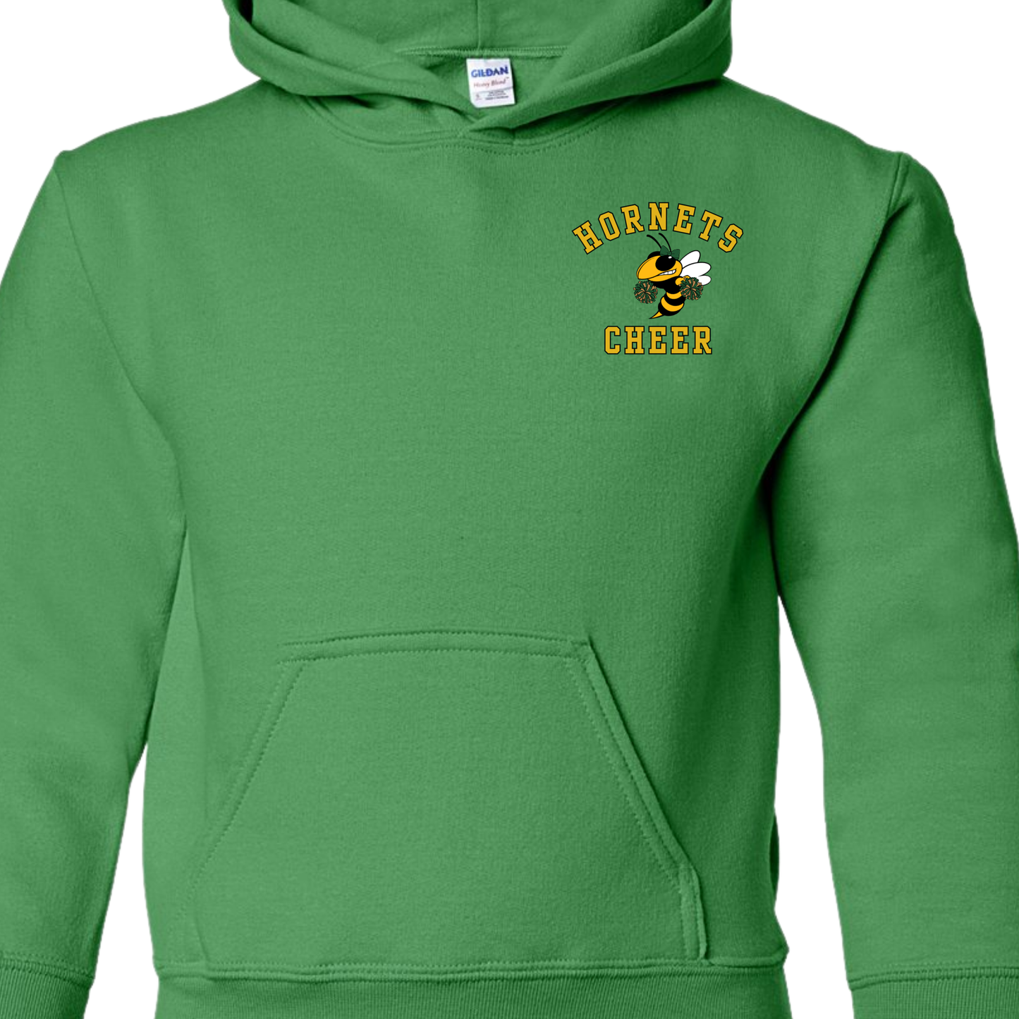 NR Youth Cheer Registration Hodie