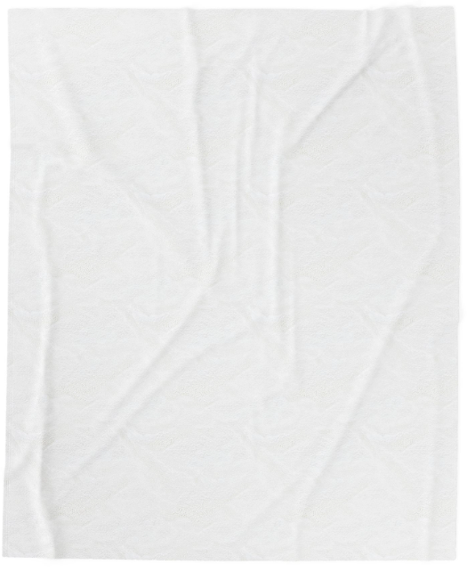 North Reading Plush Blanket